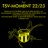 TSV Fan-Moment